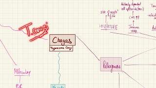 Chagas Disease Trypanosoma Cruzi  Bloodstream Infections  2nd Year MBBS  Microbiology [upl. by Adnohsor893]