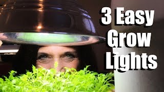 3 Easy Grow Light Set Ups for Starting Vegetable Seeds Indoors amp Lumens and Kelvin Explained [upl. by Bowler]