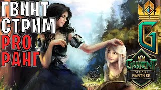 Gwent  Топ 1 в начале сезона  это я умею [upl. by Nahshon132]