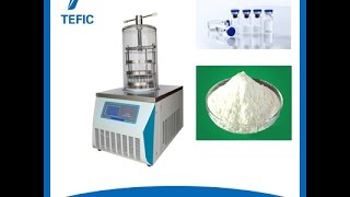 TEFIC Toppress benchtop TF10B vacuum freeze dryerLyophilizer [upl. by Oates]