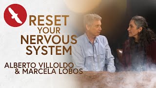 RESET Your Nervous System [upl. by Ylluz]