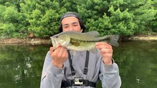 Exploring New Water Quabbin Reservoir Fishing [upl. by Eisoj]