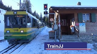 Jungfrau Region  Almend  Wengernalpbahn  Swiss Rack Railway  Swiss Alps  WAB [upl. by Laon]