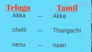 Learn Tamil through telugu part1  telugu latest [upl. by Einimod]