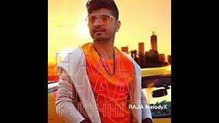 Haal Chaal Puchhi  RAJA MELODYX  New punjabi song 2019 [upl. by Atikin]