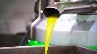 How Its Made Olive Oil [upl. by Erroll]