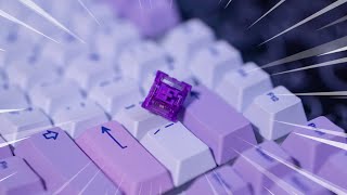 Akko CS Lavender Purple Switch Review  Best Entry Level Tactile Switch [upl. by Winterbottom]