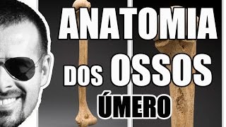 Acidentes ósseos do Úmero  Sistema ÓsseoEsquelético  VideoAula 061 [upl. by Aztin]