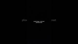 phoebe bridgers  scott street slowed amp reverb shorts story wa [upl. by Carlynn]