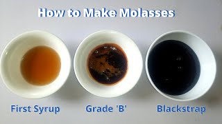 How to Make Molasses at Home  3 homemade grades of molasses [upl. by Eittap]