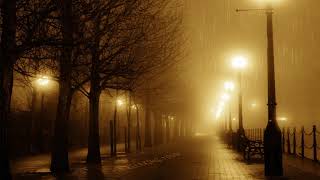 🎧 Relaxing Sound of Rain in Foggy Street 10 Hour  Cozy Rain  Cozy ambience  calm rain [upl. by Mortie]