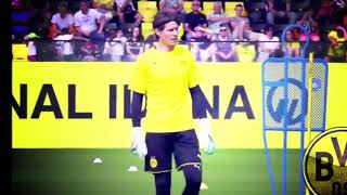 MARWIN HITZ TRAINING BORUSSIA DORTMUND [upl. by Dhar634]