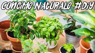 Concime Naturale  Fertilizzante Liquido Fai da Te  Liquid Fertilizer DIY [upl. by Kilby]