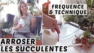 🌵COMMENT ARROSER LES SUCCULENTES 💦  TUTO JARDINAGE [upl. by Merritt]