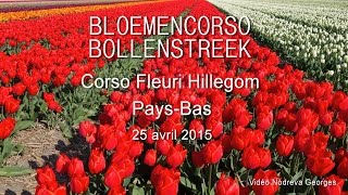 Bloemencorso Corso Fleuri 2015 Pays bas [upl. by Neerod]