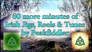 60 more minutes Irish Jigs Reels amp Tunes [upl. by Zaccaria]