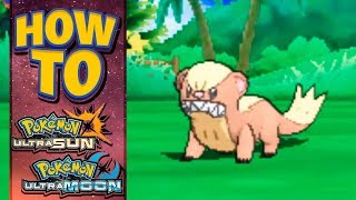 HOW TO GET Yungoos in Pokemon Ultra Sun and Moon [upl. by Nnagrom]