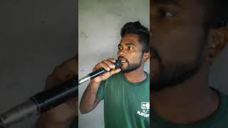 Song 87  Niwahal Sithuwili SithanaLahiru Dewage [upl. by Flss]