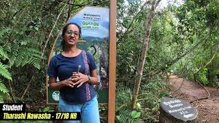 Field Visit to Sinharaja Rainforest by Department of Natural Resources [upl. by Colet]