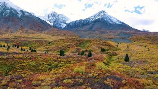 The Auriol Trail  Kluane National Park and Reserve [upl. by Daitzman928]