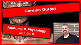 Cardiac Output Anatomy and Physiology [upl. by Yzzik]