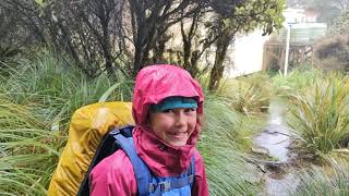 Te Araroa Day 32 Waiopehu Hut to Te Matawai Hut Tararua Forest Park [upl. by Tedmund958]