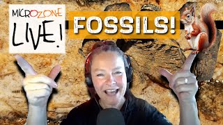 Fossil and Deathplate MICROZONE Friday Night LIVE [upl. by Ennaxxor]