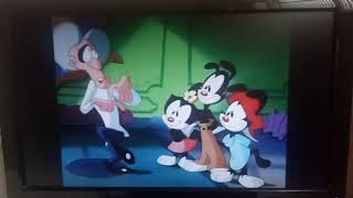 Animaniacs S01E03 DeZanitized Part 1 [upl. by Statis]