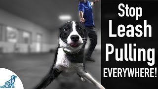 How To Teach Your Dog Not To Pull On The Leash EVER [upl. by Grantley]