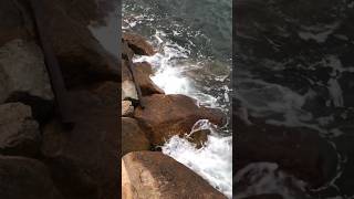 Beachy waves morning windythursday waves ocean seaside windy nature shortvideo hongkong yt [upl. by Raf]