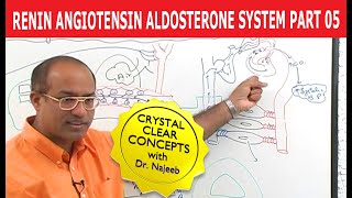 Renin Angiotensin Aldosterone System  RAAS Part 5👨‍⚕️ [upl. by Etnauq]