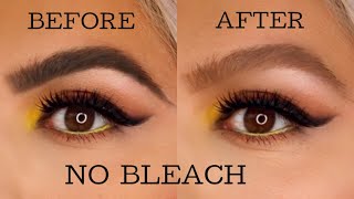 How to lighten your eyebrows at home  NO BLEACH [upl. by Anirtruc]