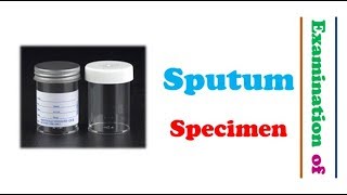 Microbiology 🔤  Examination of Sputum Specimen [upl. by Tirza]