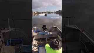 Nerang River Fishing  fishing fish whiting shorts [upl. by Worthy]