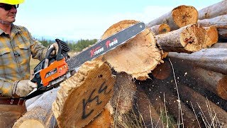 Testing The Cheapest Chainsaw On AMAZON [upl. by Ititrefen]