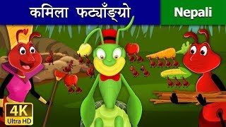 कमिला फट्याँङ्ग्रो  The Ant and The Grasshopper in Nepali  Nepali Fairy Tales  Wings Music Nepal [upl. by Quiteris529]