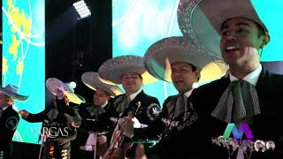 Son de la Negra Mariachi Vargas VIVA MÉXICO [upl. by Marigolde]