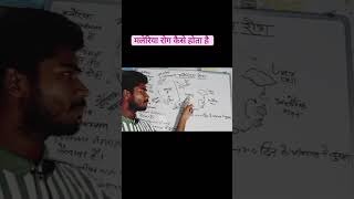 malaria disease मलेरिया रोग  plasmodium vivax plasmodium  disease [upl. by Orenid]