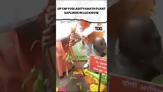 watch CM Yogi Adityanath plant saplings in Lucknow viral shorts [upl. by Piefer]