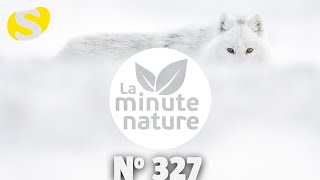 AVEC VINCENT MUNIER No 327 [upl. by Chicky]