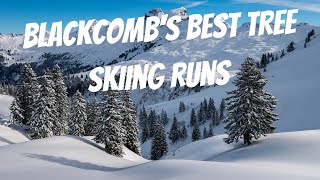 The Best Tree Skiing Runs on Blackcomb  Whistler Blackcomb Ski Guide [upl. by Hsihsa]