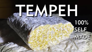 Tempeh selber machen  traditionell indonesische Eiweißquelle [upl. by Avram]