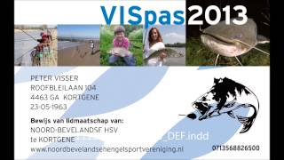 Radiospot VISpas campagne 2013 [upl. by Aynwad]