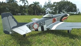 RC P51 Mustang  Low pass training session [upl. by Adniles]