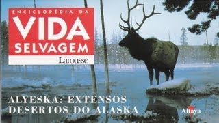 Vida Selvagem  Alyeska Extensos Desertos do Alaska  Parte 1  3 [upl. by Sivra]