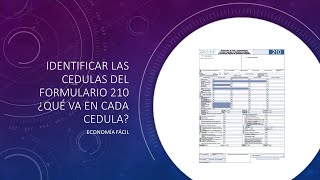 Identificar las cédulas del formulario 210 ¿Qué va en cada cédula [upl. by Kcirdek]