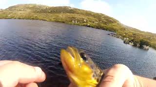 Loch Girvan Eye Ayrshire Scotland Flyfishing 31st August 2024 [upl. by Annairb]