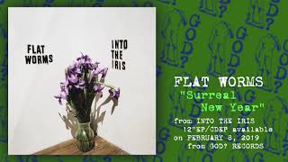 Flat Worms quotSurreal New Yearquot Official Song Video [upl. by Aisad]