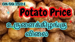 ஊட்டி உருளைக்கிழங்கு சந்தை இன்றைய விலை நிலவரம் முழு தகவல் உள்ளே  Ooty Potato Rate At Mettupalayam [upl. by Mendez]