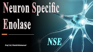 Neuronspecific enolase NSE test made easy [upl. by Connel351]